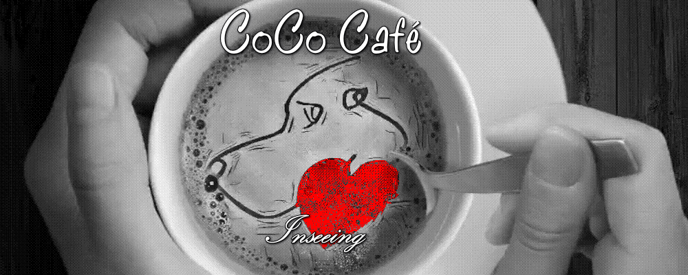 Heart2 Dog カフェのイメージ画像